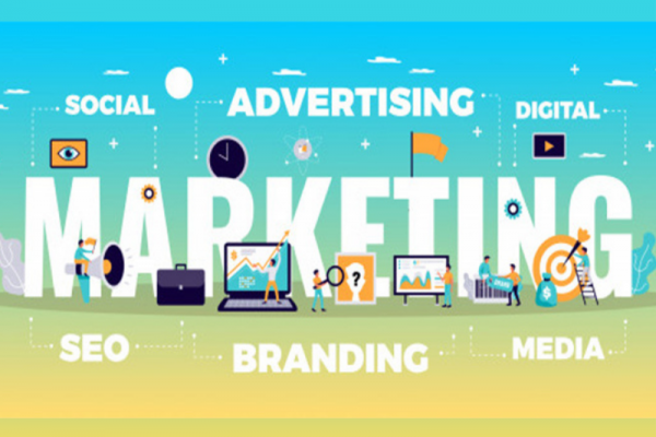 Best Digital Marketing Company in Jalandhar